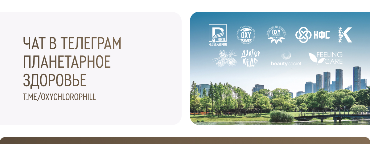 чат в телеграм 