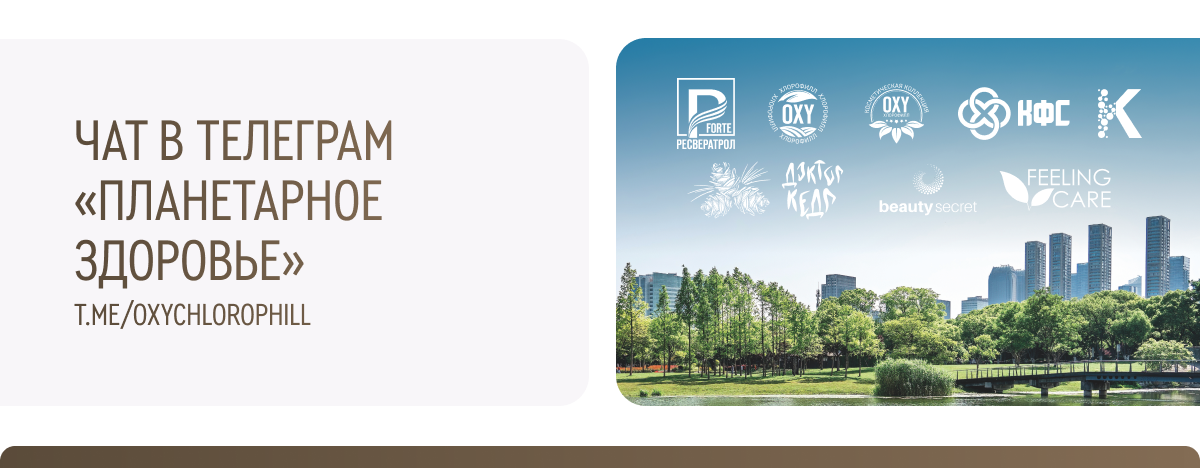 чат в телеграм 